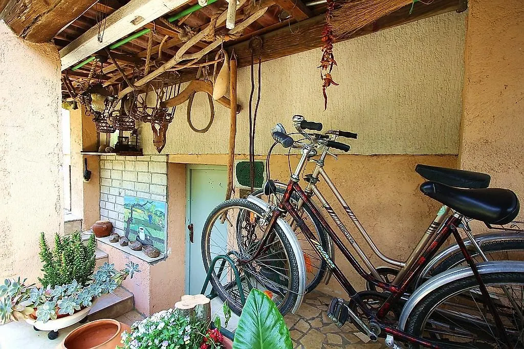 Apartment Pifar Medulin